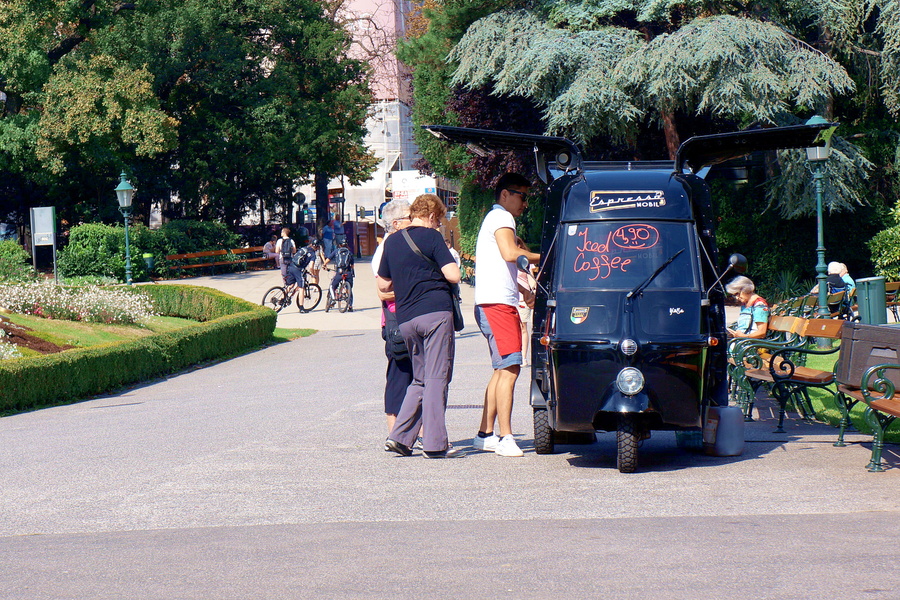 A Lively Park Scene