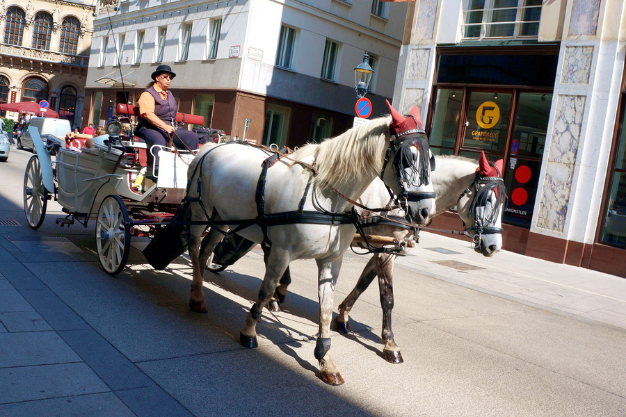 Horse-Drawn Carriage on a European Street