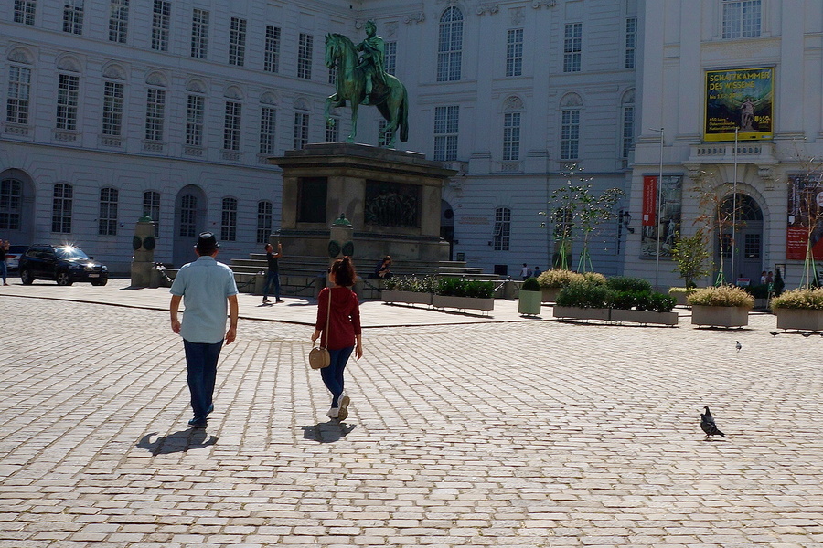 A Lovely Stroll Through Vienna's Historic District