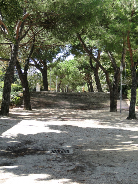 Serene Urban Park on a Sunny Day