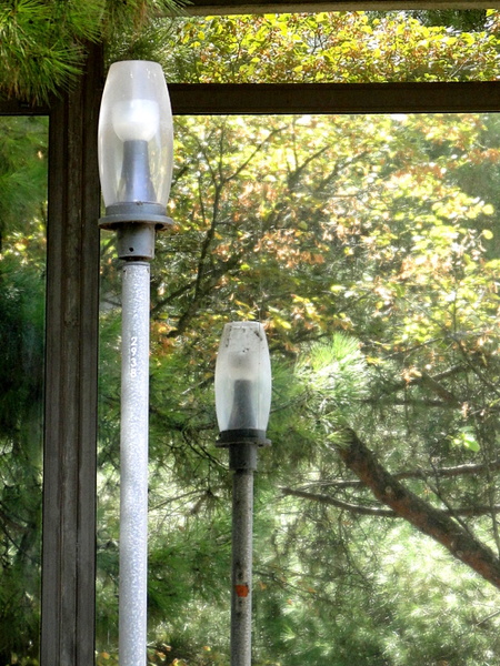 City Street Light in Autumnal Scenery