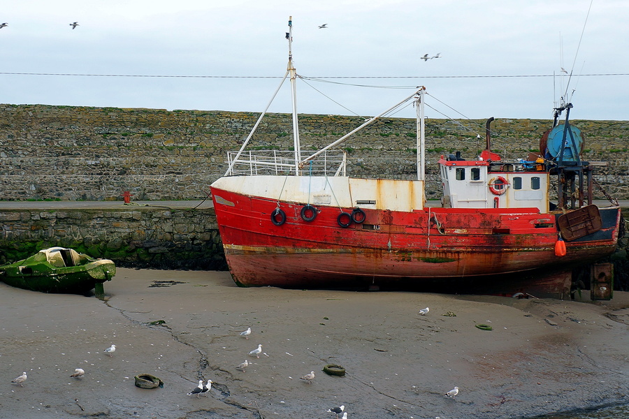 Harbor Scene: A Rustic Boat and Seagulls