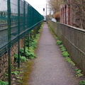 Narrow Pathway Through Overgrown Fence