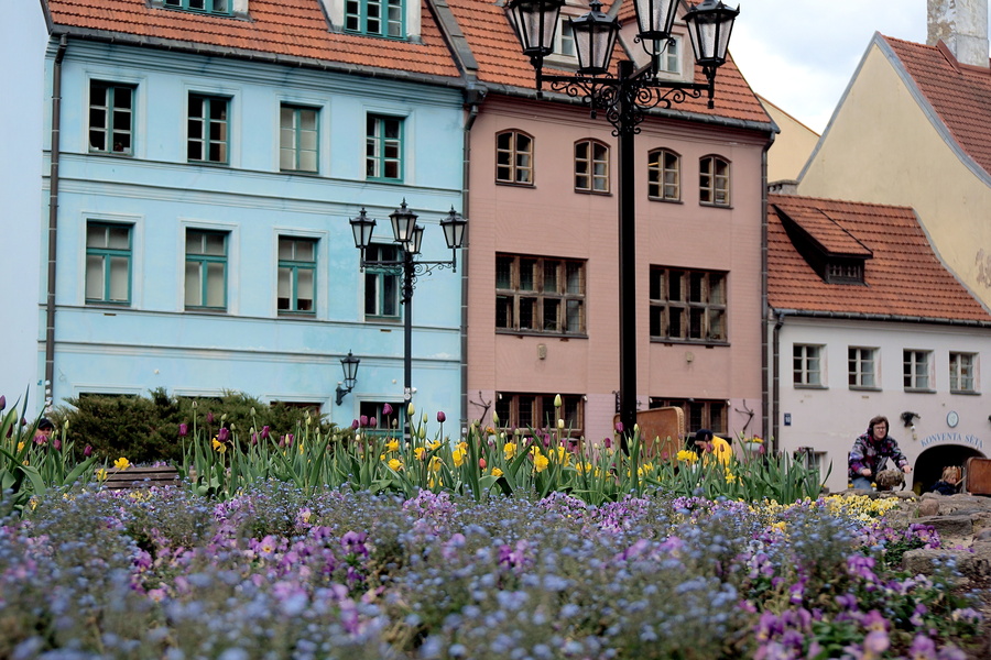 Colorful Riga Cityscape with Flower Bed and European Architecture