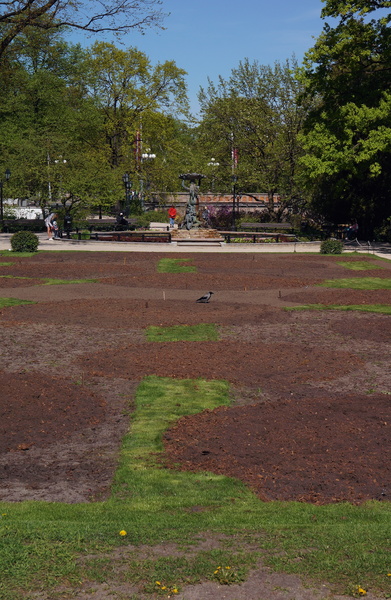 Vacant Park in Riga, Europe: A Waiting for the Green to Return