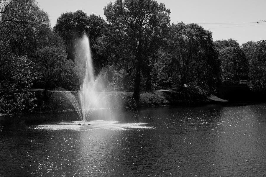 Tranquil Fountain in a Park