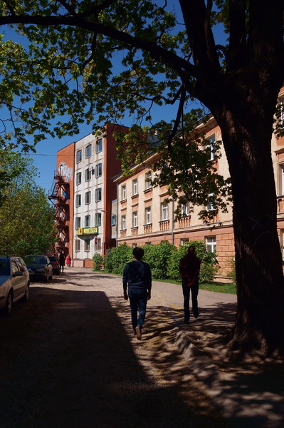 City Street: A Sunny Day in Riga, Latvia