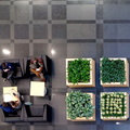 Contemporary Office with Plant-Filled Planter Boxes