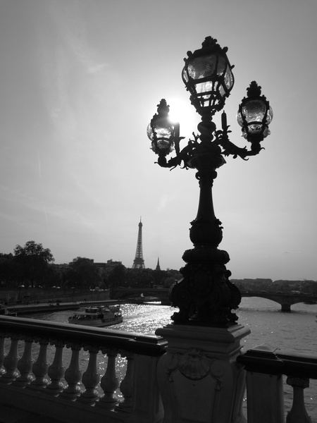 Parisian Evening: A Street Lamp Silhouette with the Eiffel Tower in the Background