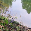 A Tranquil Scene of Nature