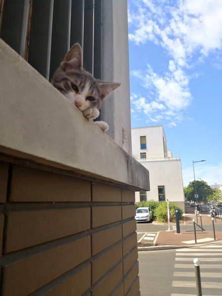 Peeking Curiosity