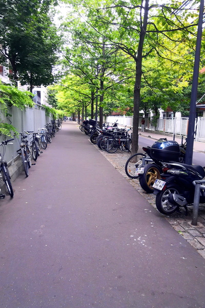 Tranquil Alleyway in Paris