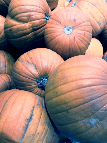 Seasonal Celebration: Autumn Harvest