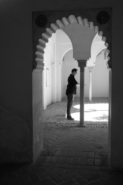 Exploring the Past: A Man in an Elegant European Courtyard