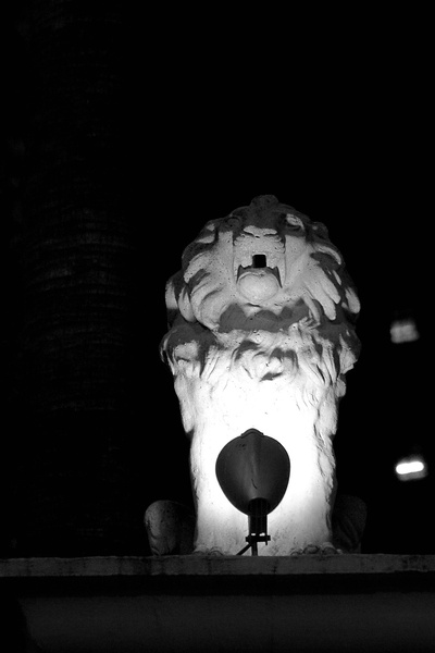 Lion Statue at Night: A Symbol of Strength and Honor in a European City
