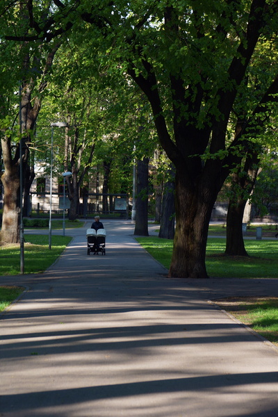 A serene walk through a park