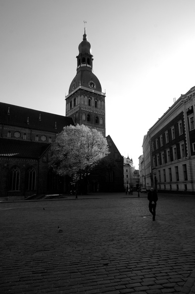 DSC00313.JPG
