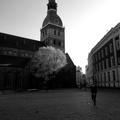 Riga Cathedral - A Timeless Landmark in Latvia