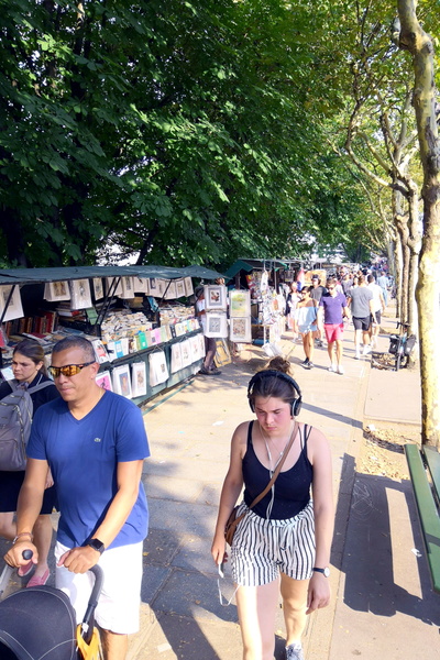 Bustling Market Day in Paris, France