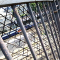 Urban View: A Train Passes Beneath a Bridge