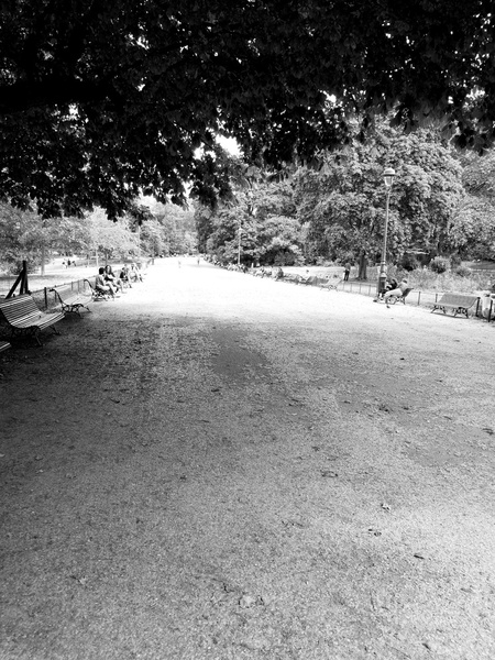 Serene Park Path, Paris