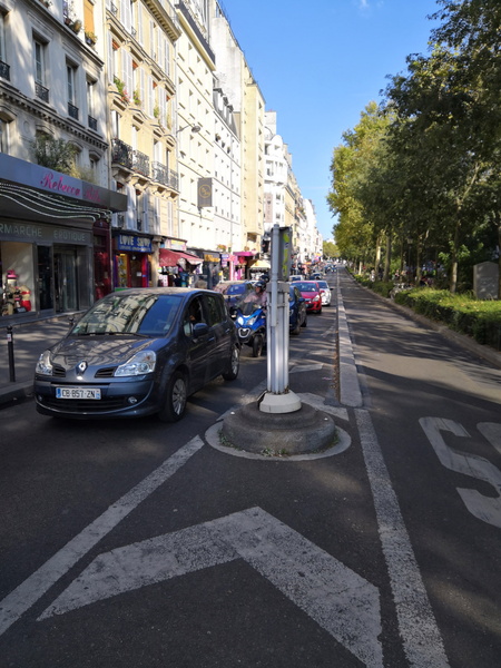 A Bustling Street in Paris