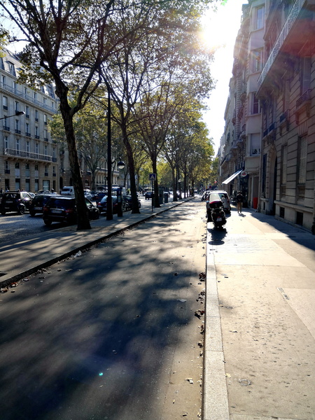 Empty Parisian Street on a Sunny Day
