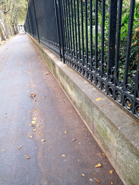A Serene Parisian Sidewalk