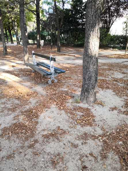 Serene Afternoon in the Park