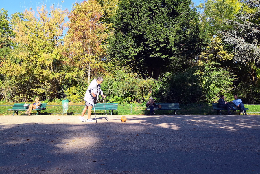 A Sunny Afternoon in the Park