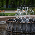 Elegant Fountain in a Park