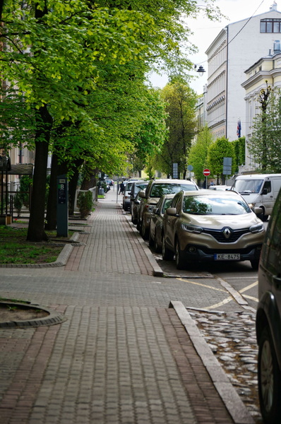 Quiet City Street on a Rainy Day