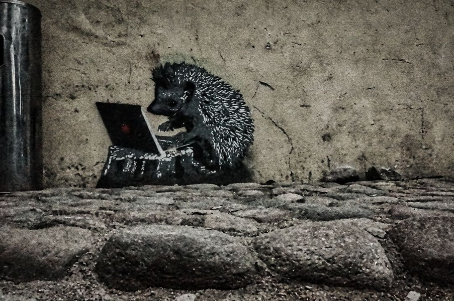 The Tech-Savvy Hedgehog: A Night in Vilnius, Lithuania