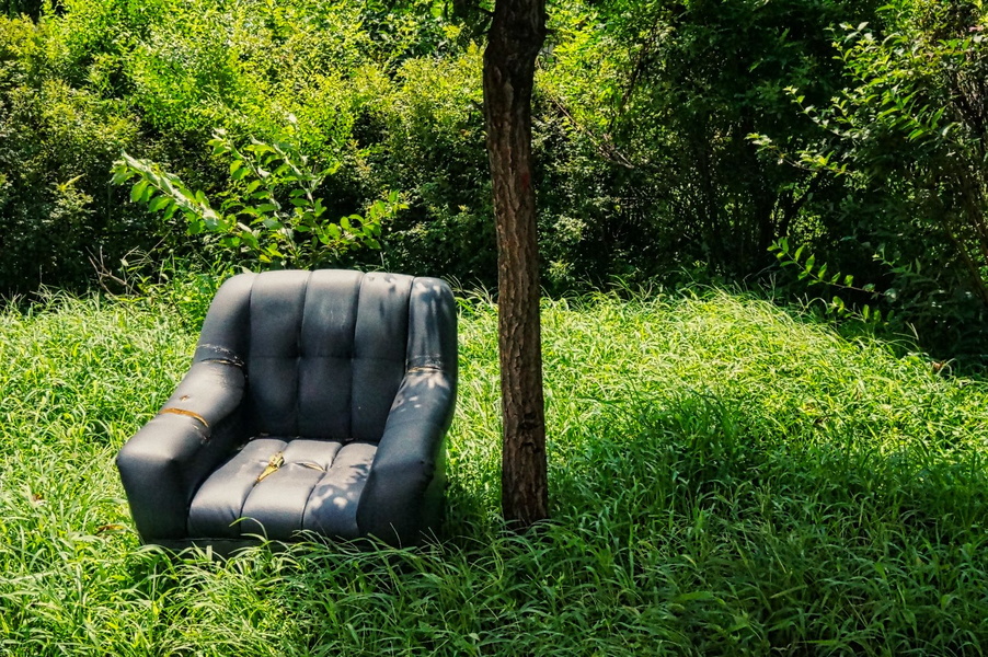 Neglected Chair in Wilderness