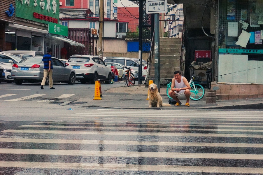 Rainy Day in a Chinese City: A Man Waits for His Dog