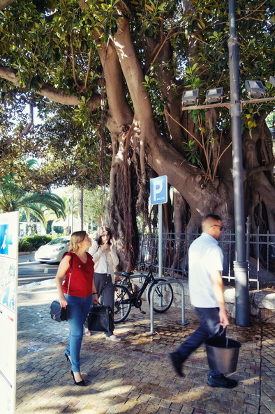 A Sunny Afternoon Stroll in Malaga's City Center