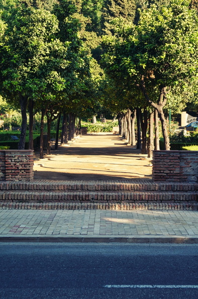 Serene Walk in a European City Park