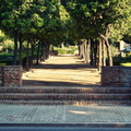 Serene Walk in a European City Park