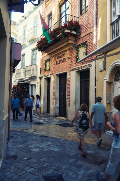 Bustling City Life in Malaga