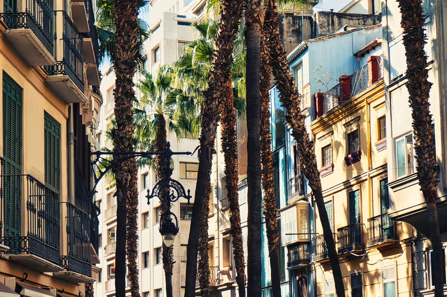 Elegant Spanish Cityscape with Palm Trees