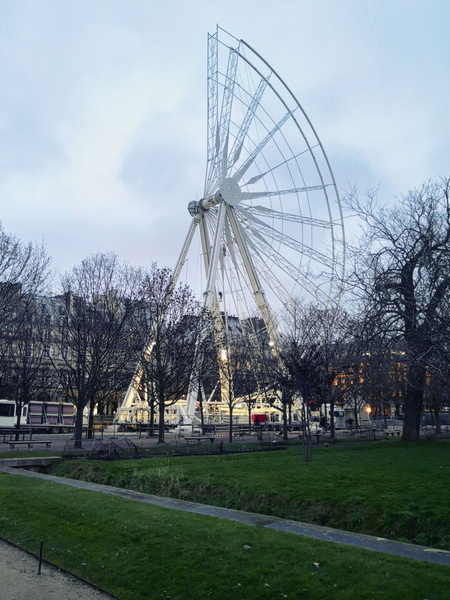 The Ferris Wheel at Night in Paris