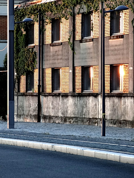 Quiet Residential Street at Dusk