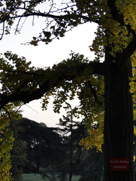 Autumn Afternoon in a French Park