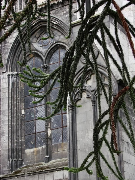 Gothic Church with Christmas Decorations in Bordeaux, France