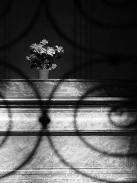 Serene Chapel with a Single Flower