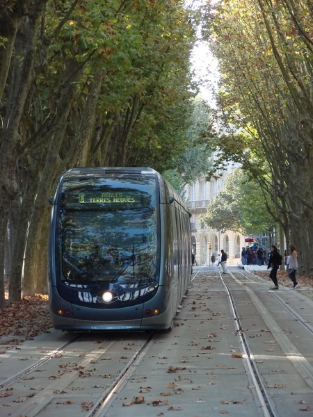 Urban Trolley Tram