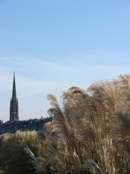 This image captures a serene and vibrant scene. The main subject is an old church or cathedral, standing tall against the backdrop of a clear sky. In front of the church, a field filled with tall grasses sways gently. The perspective of the photo is from below, looking up towards the church, adding to its grandeur. The church's architecture suggests it might be located in France or another European country. The overall mood conveyed by the image is one of tranquility and the beauty of nature blending with historical architecture. DSC02644.jpg