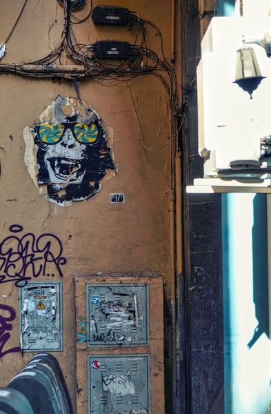 Vivid Vandalism in a Malaga Alleyway
