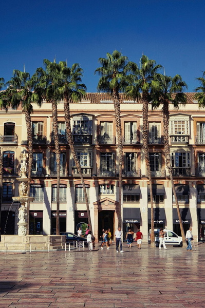 Vibrant Malaga Courtyard with Palm Trees and Spanish Architecture