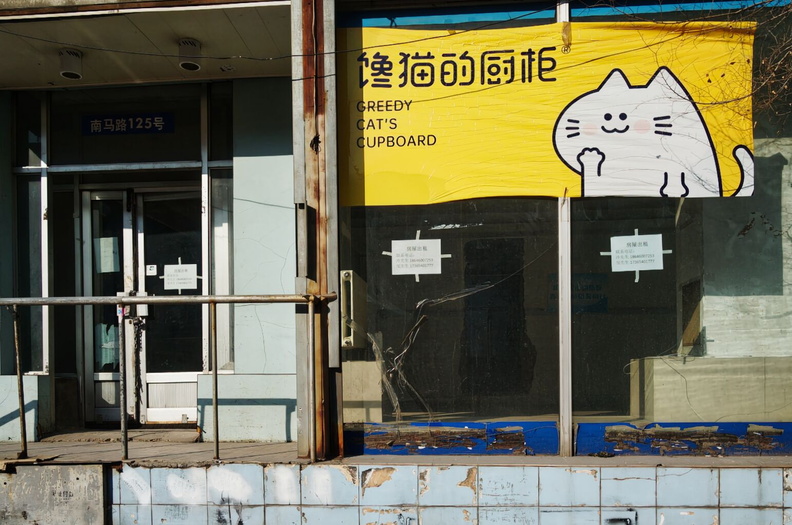 Chinese Cafeteria with a Playful Cat Advertisement